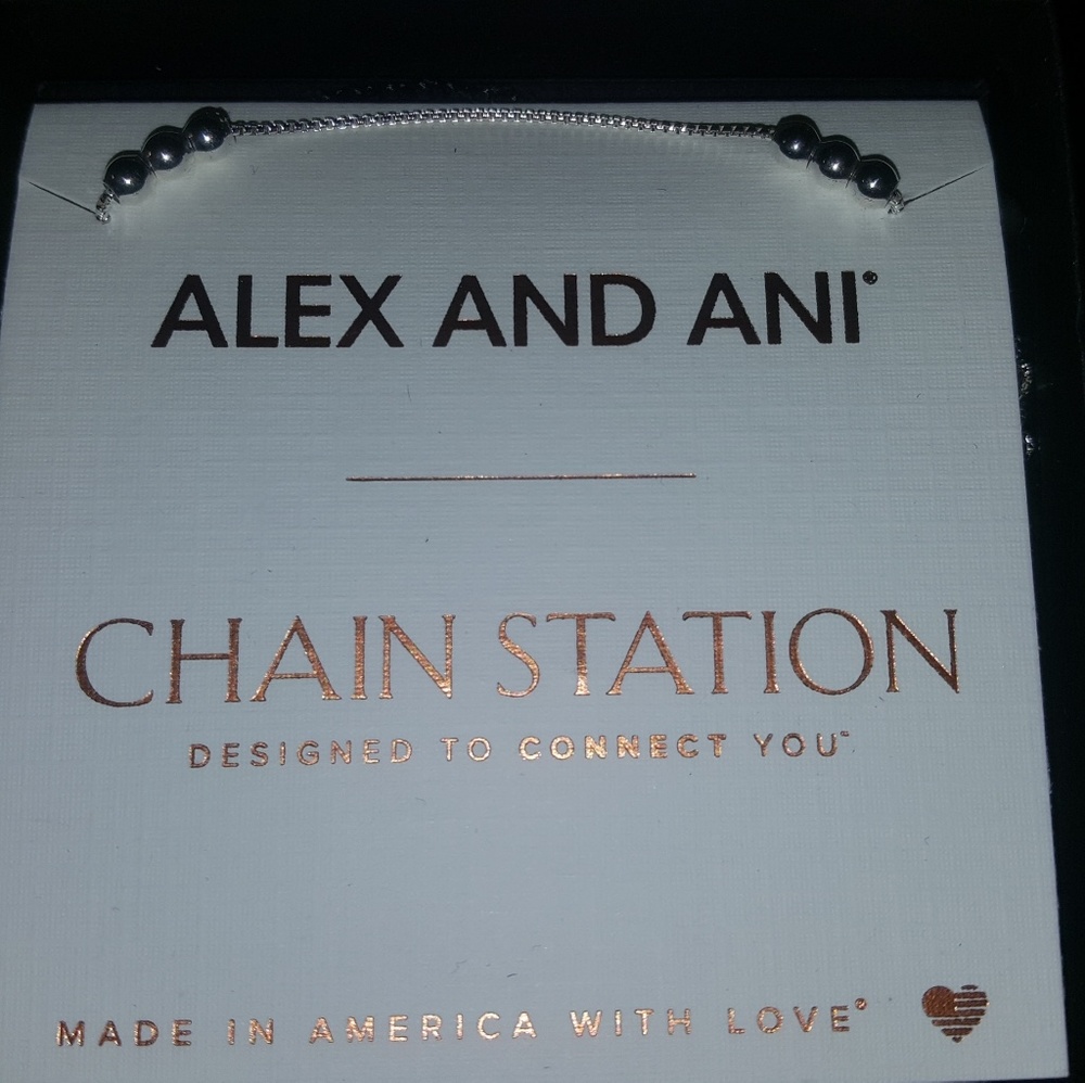 New in Box! Alex and Ani 32" Expandable Chain Neck